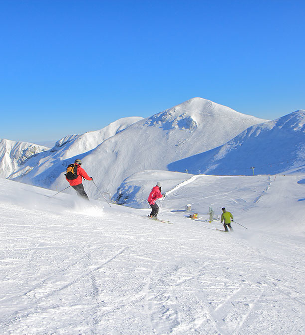 Hotel Le Panorama - Winter activities, skiing